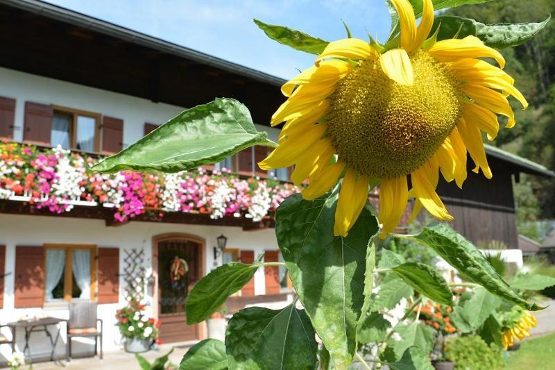Haus Jagerer Hotel Ramsau bei Berchtesgaden Ngoại thất bức ảnh